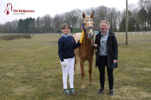 Ponyhengst Mr. Golden Watson in Schleswig-Holstein gekört