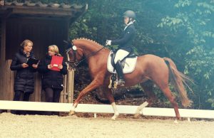 Bronze Landeschampionat Bad Segeberg